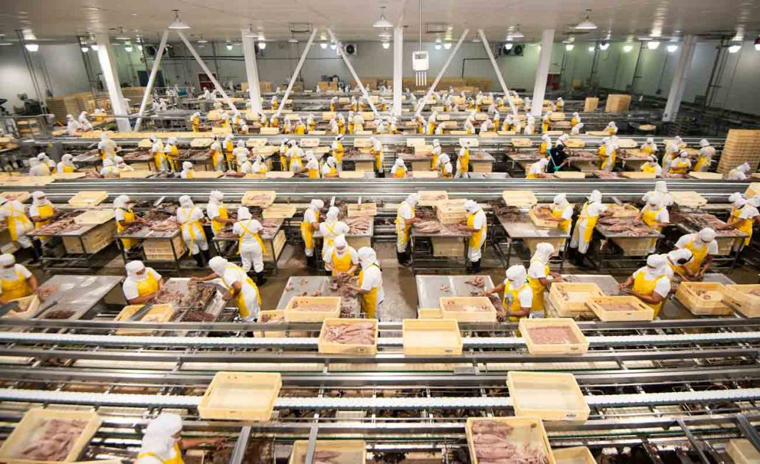 Industria atunera celebra más empleos para la provincia de Puntarenas