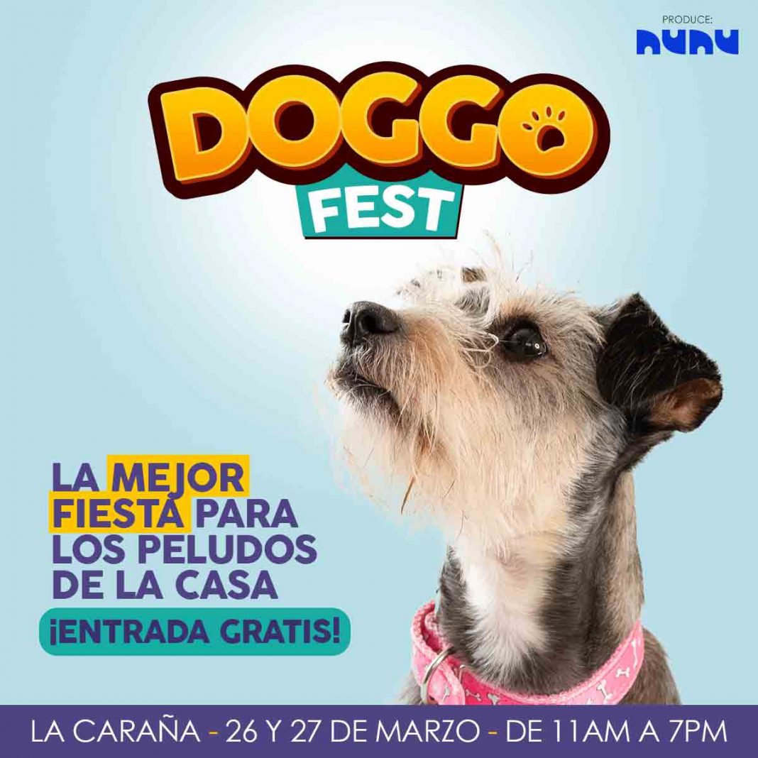 DOGGO-FEST-01