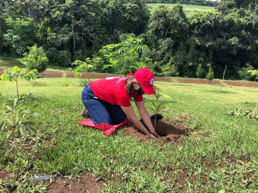 Grupo Mutual avanza en la ruta de sostenibilidad en el sector Financiero
