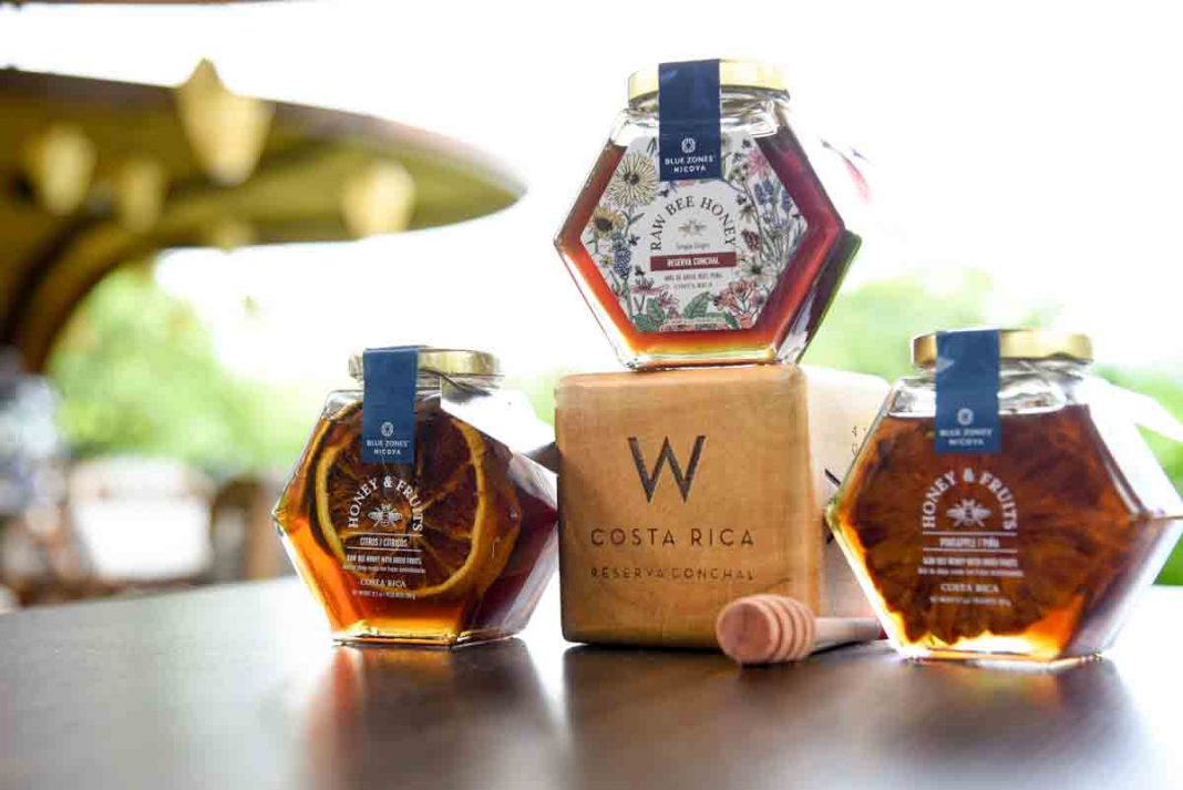 Primer Marriott Bonvoy Moment de miel ocurrirá en Costa Rica con producto de Zona Azul