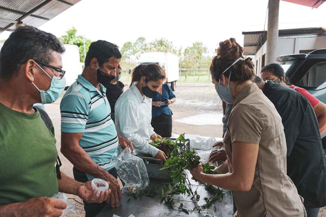 Universidad EARTH anuncia la próxima fase del programa para empoderar a agricultores de Costa Rica y Guatemala