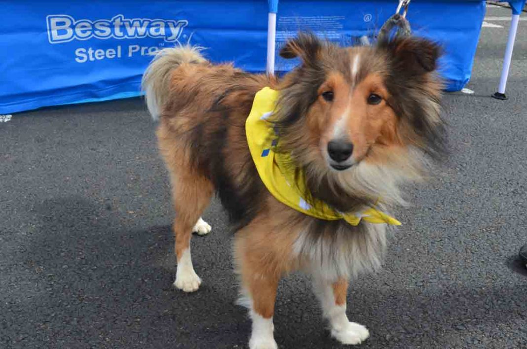 EPA_Domingos-en-familia-y-sin-humo-(7)