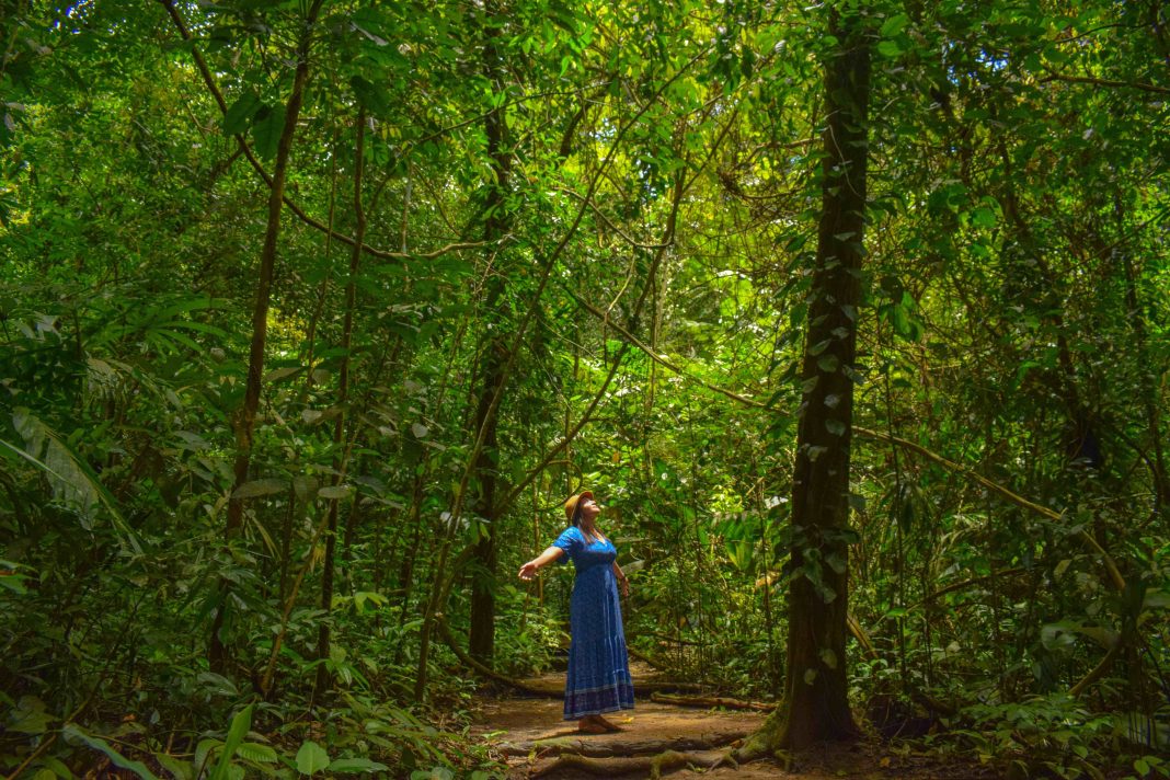 46B42558-F4CC-493F-9725-2EB2B71F6675-compressed-compressed