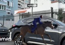 BAD BUNNY – ACHO PR (Visualizer) | nadie sabe lo que va a pasar mañana