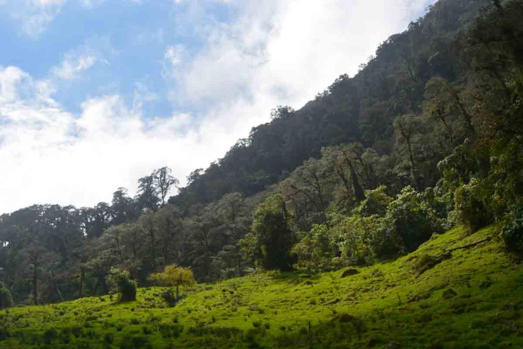 Intel anuncia iniciativa para proteger acuífero que abastece a miles de personas en el Valle Central