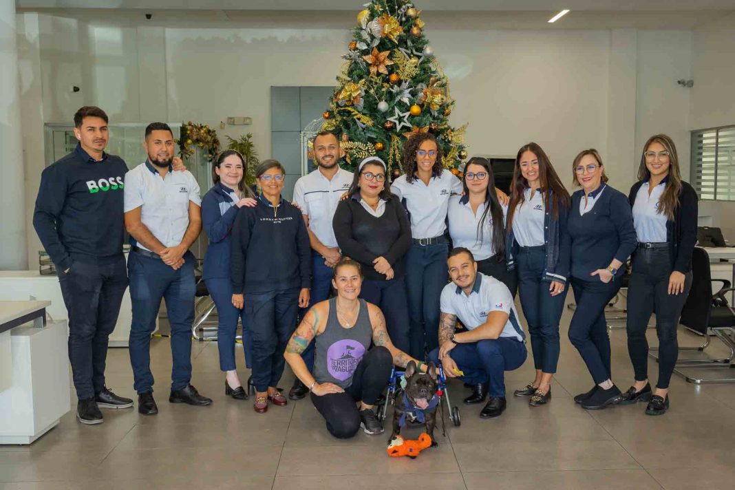Hyundai regala libertad y movilidad a Cooper en Navidad