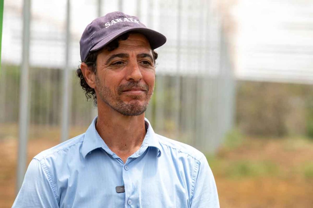 Walmart compró más de ₡28.000 millones a productores nacionales