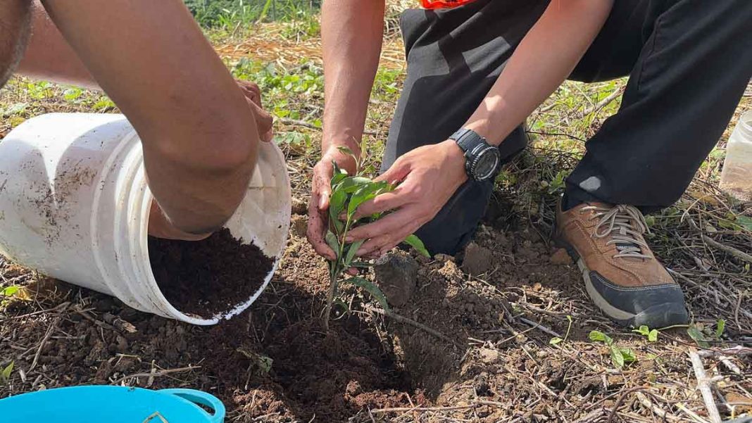 El primer eco bosque en el Gran Área Metropolitana ya es una realidad