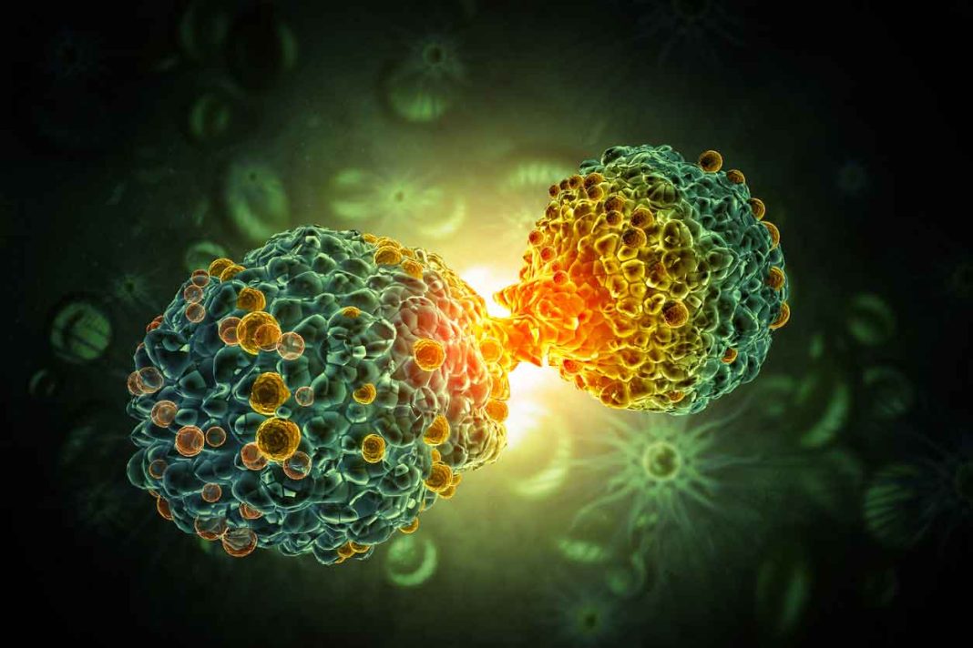 El cáncer como problema de salud pública en Latinoamérica: barreras de acceso y tipos más comunes