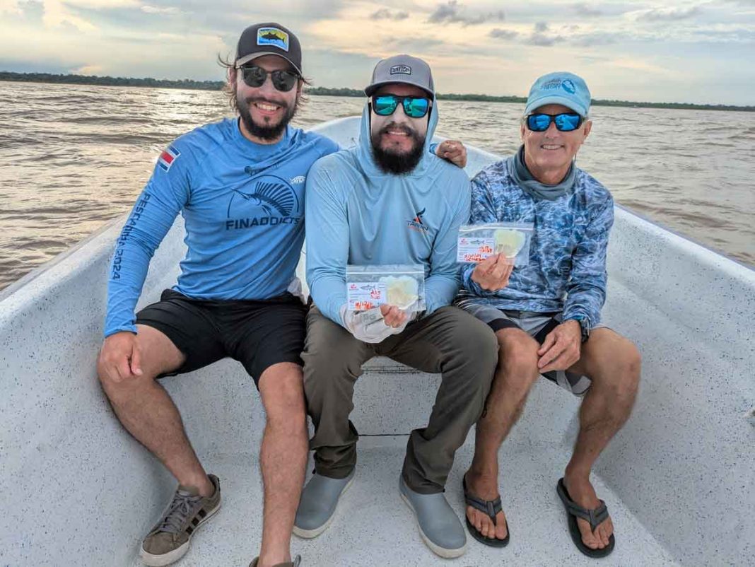 Costa Rica podría convertirse en un líder global para la conservación del sábalo real