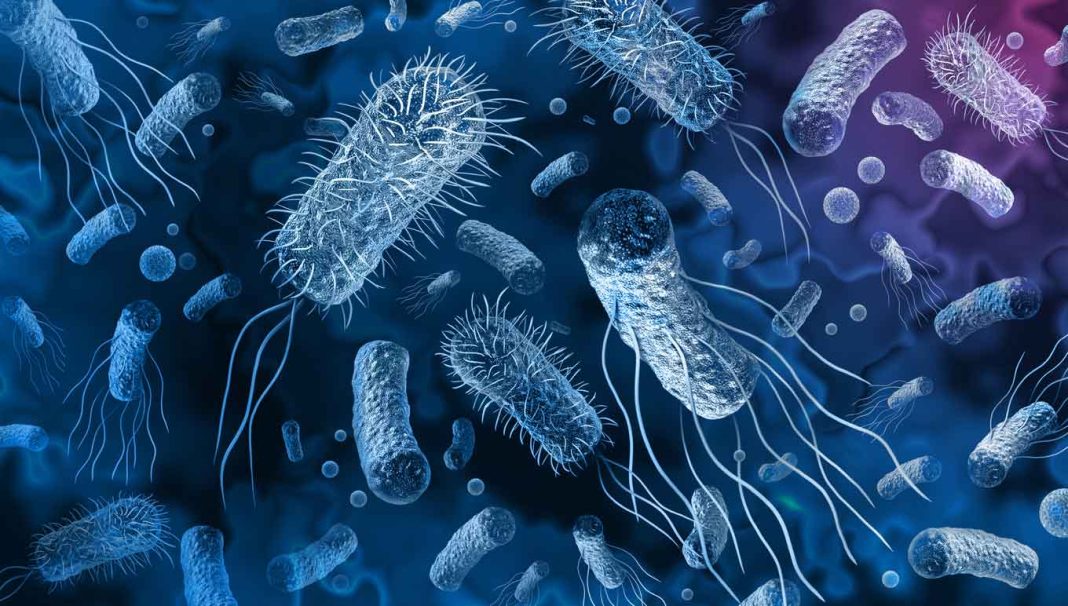 Resistencia a los antimicrobianos reducirá la esperanza de vida en 1,8 años para el 2050