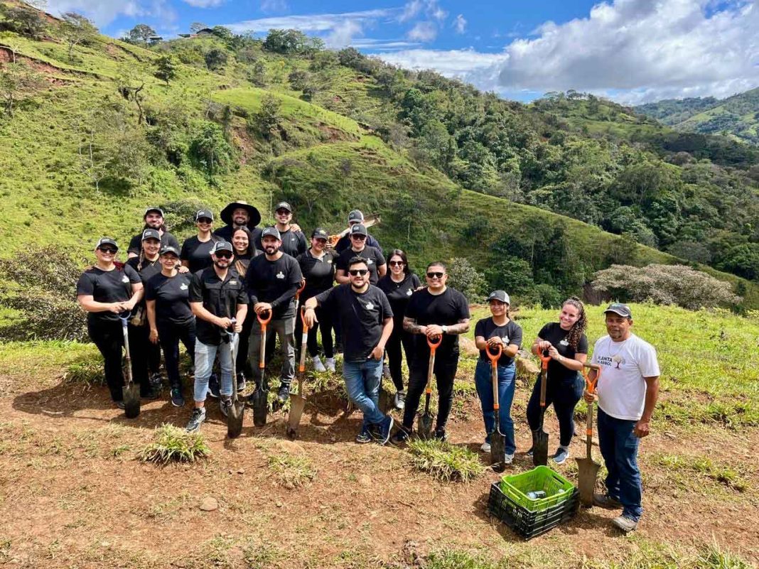 Chevrolet planta 100 árboles nativos en Puriscal para crear unfuturo más verde