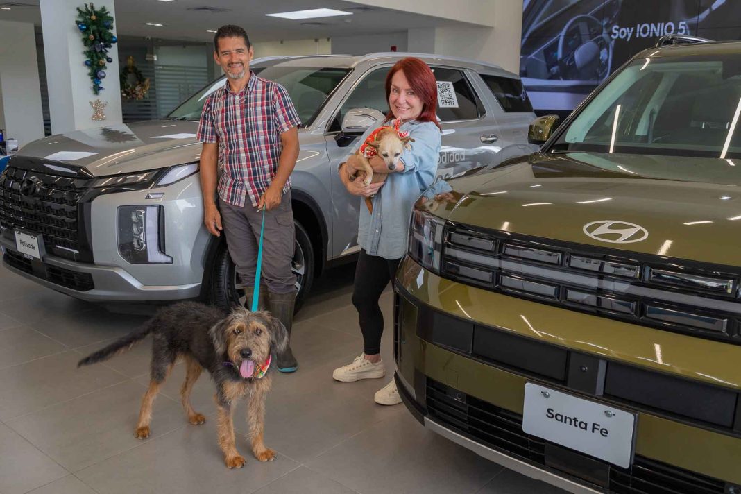 Regresa El Zaguatón Navideño a beneficio de Territorio de Zaguates