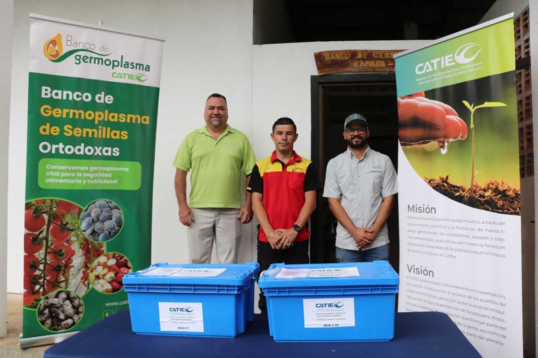 CATIE realiza su mayor envío de semillas a la Bóveda Global de Semillas en el Ártico