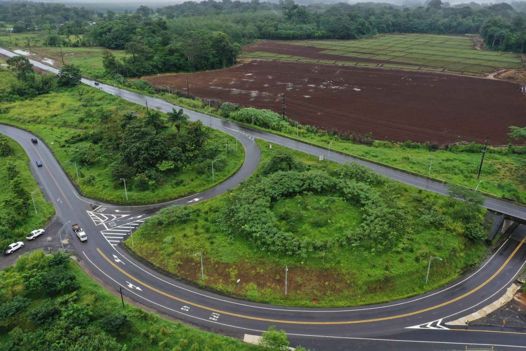Iniciativa busca fondos para plantar miles de árboles en el GAM