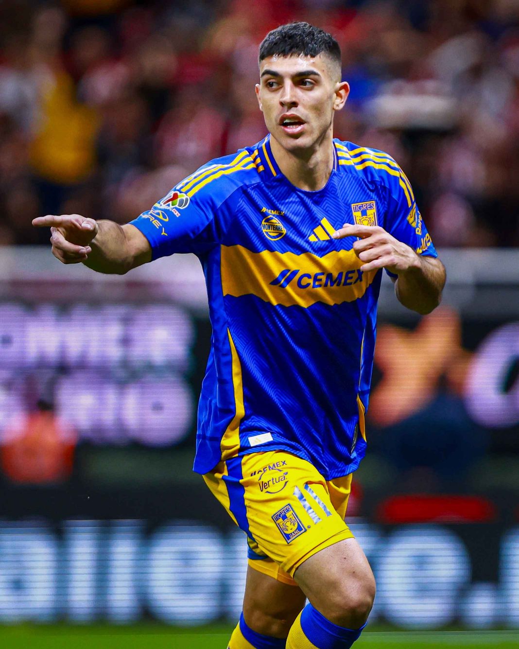 Necaxa vs. Tigres: Dónde ver EN VIVO el partido por la Liga MX