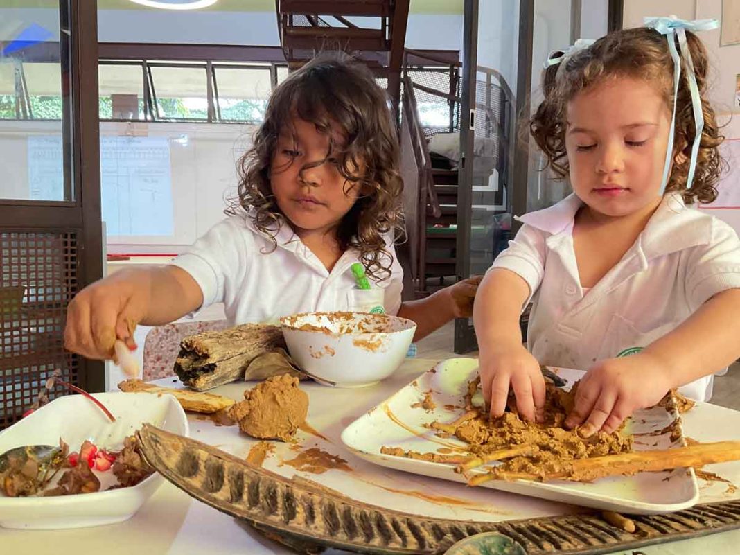 Diseño de experiencias de aprendizaje estimula desarrollo cognitivo y habilidades sociales para niños de 1 a 3 años