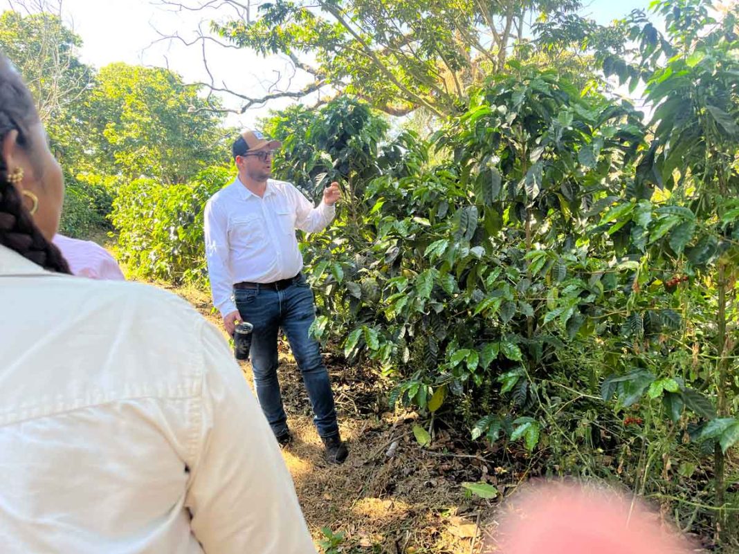 Tío Nacho y UBEES refuerzan su compromiso con la sostenibilidad al proteger un millón de abejas