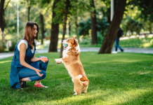 Celebrá junto a tu mascota el Día Mundial del Perro