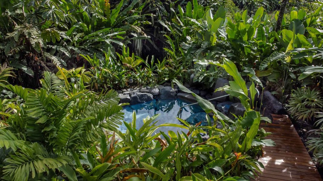 Aguas Termales Naturales se consolidan como una gran opción de salud y bienestar para diversos padecimientos