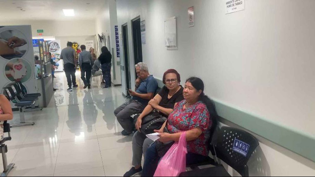 Cuidado de la salud femenina: Ejercicio, alimentación y chequeos según la edad