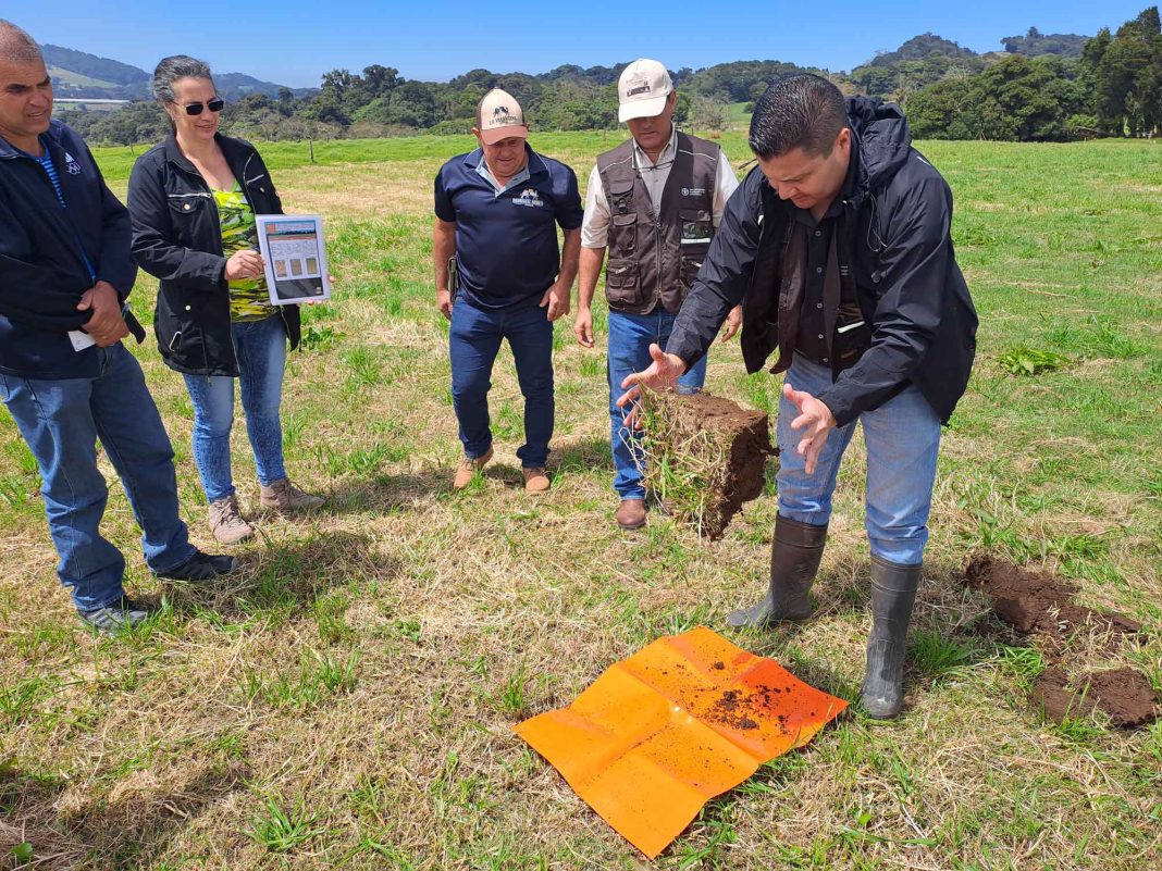 Dos Pinos impulsa prácticas innovadoras de manejo del suelo en las fincas de sus productores