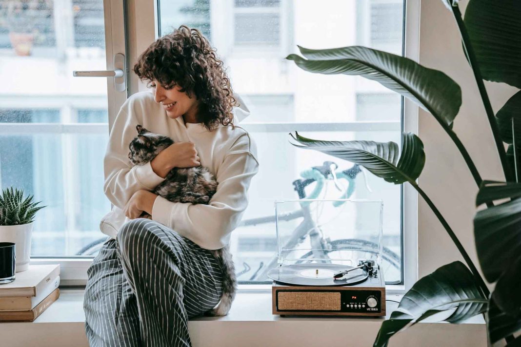 El curioso origen del Día Internacional del Gato y su lugar en nuestra cultura actual