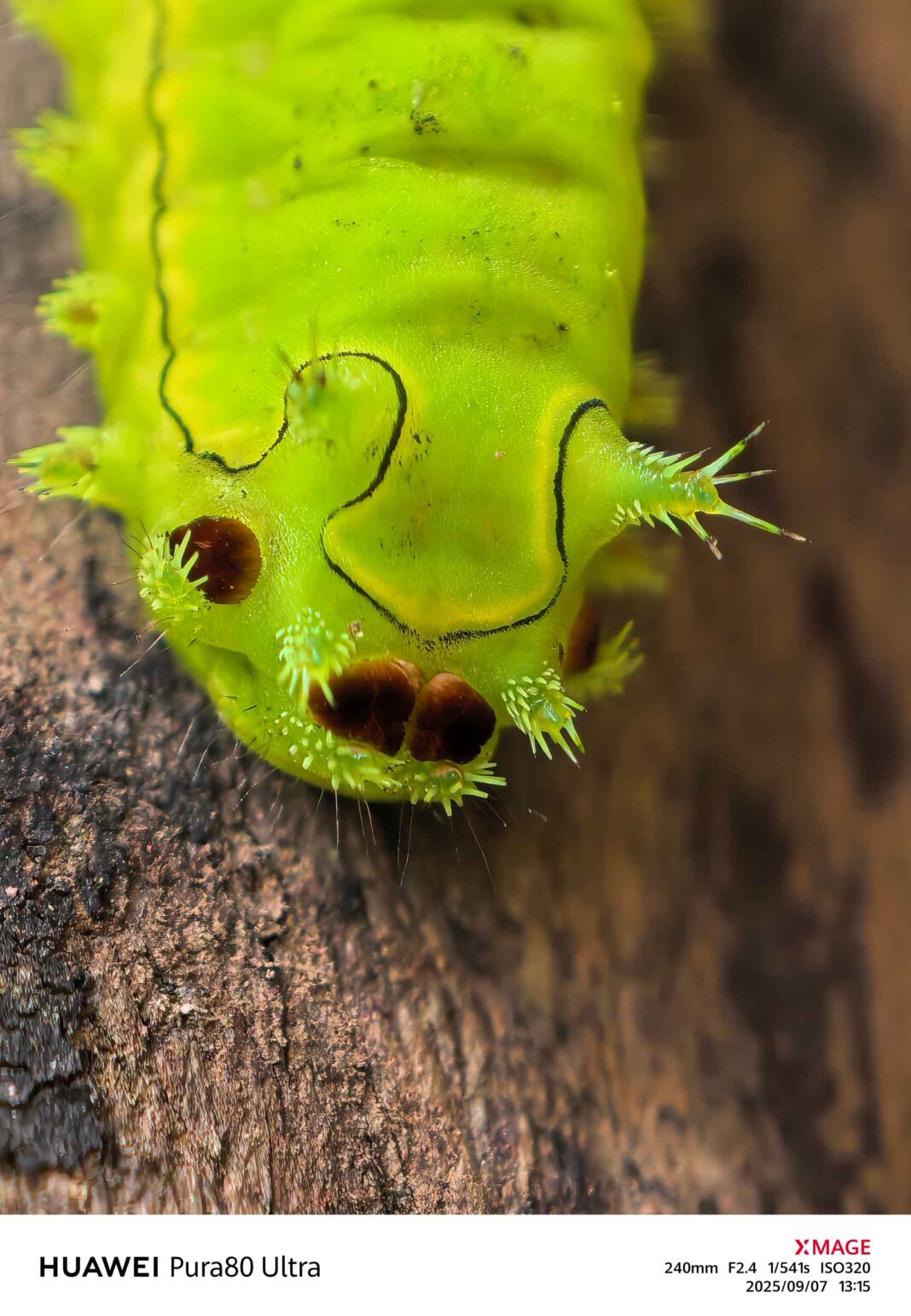 HUAWEI Pura 80: Un smartphone que sorprende hasta a los fotógrafos profesionales