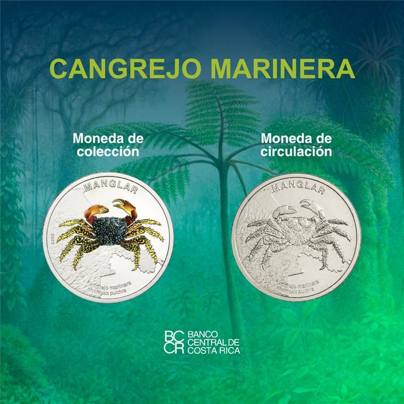 BCR ofrece penúltima moneda de la colección Fauna de los Ecosistemas
