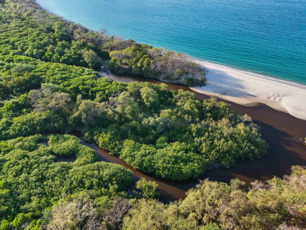Conectividad ecológica: clave para el futuro de las áreas protegidas en Latinoamérica