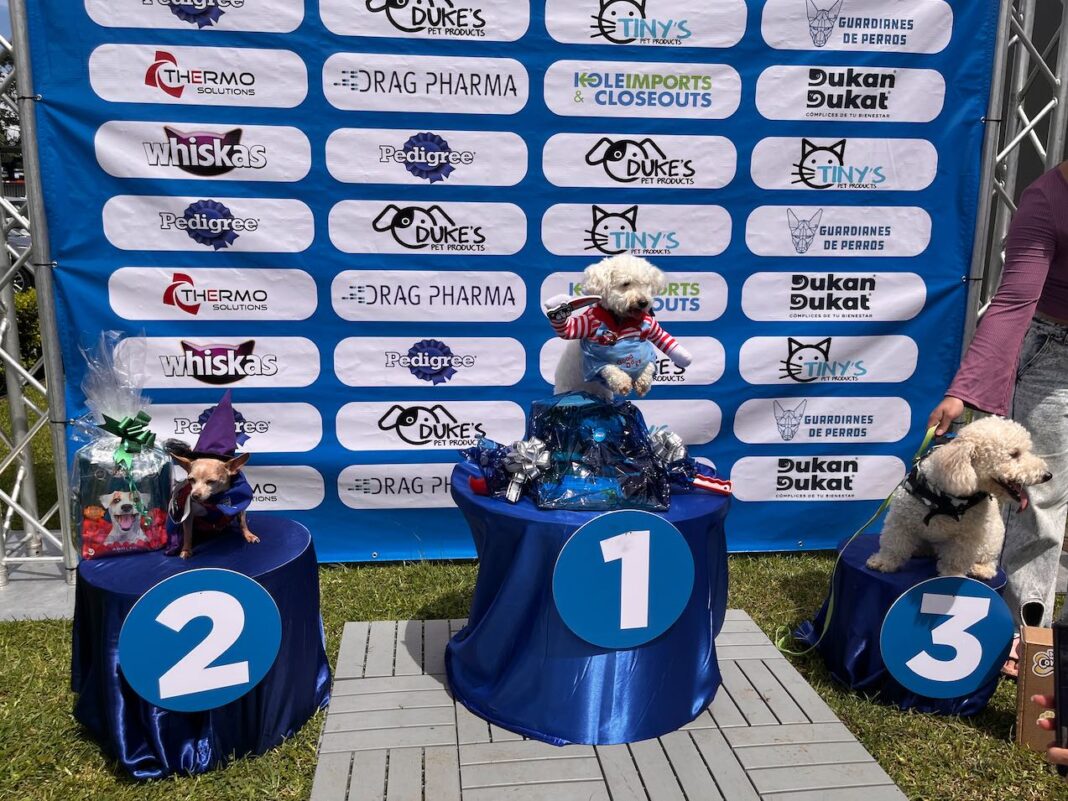 Mascotas deslumbran en la pasarela organizada por Novex