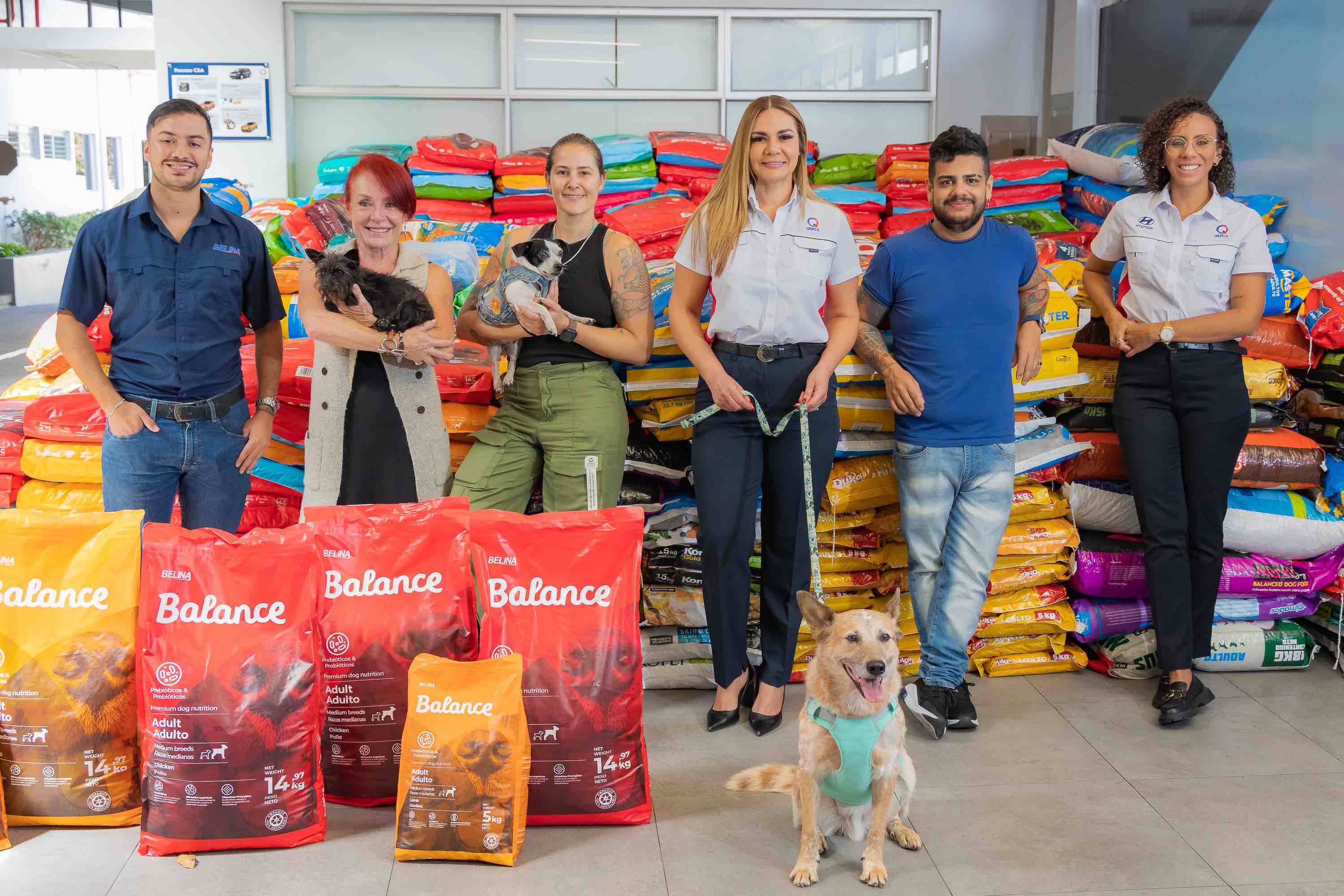 Zaguatón Navideño de Hyundai rompe récords y recolecta más de 20 toneladas de alimento que beneficiarán a más de 2.400 perros en riesgo