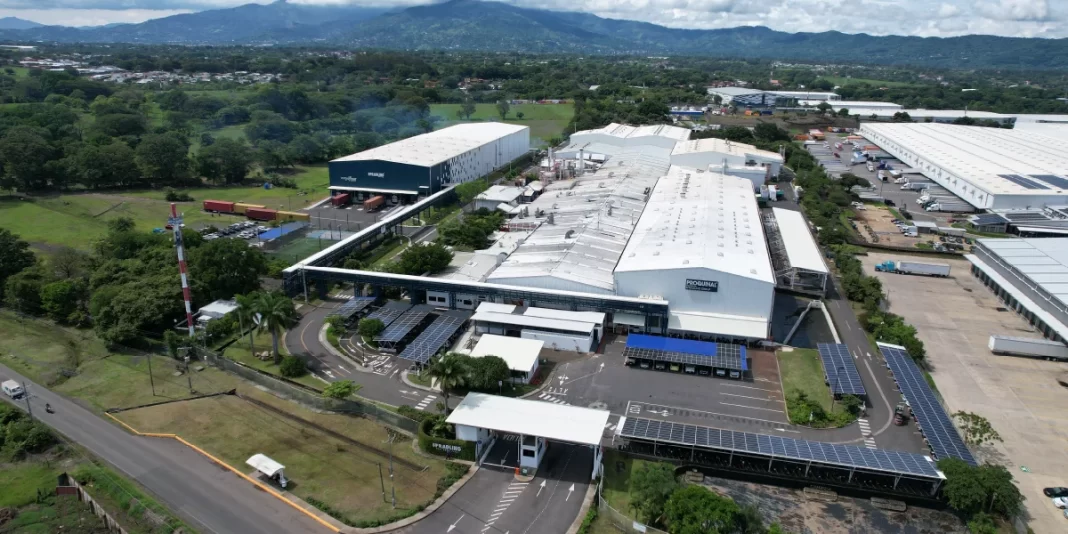 Sostenibilidad: un eje de acción para las empresas que desean asegurar la viabilidad empresarial