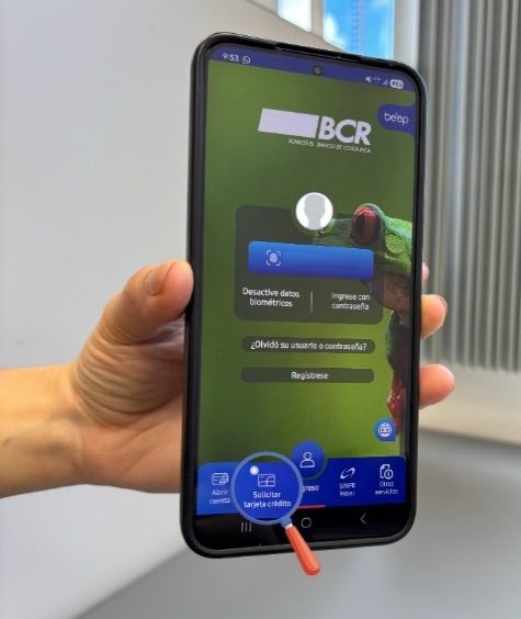 BCR: autogestión en la palma de la mano