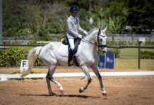 Copa Barvak avanza con nueva competencia de adiestramiento abierta para los amantes del deporte ecuestre