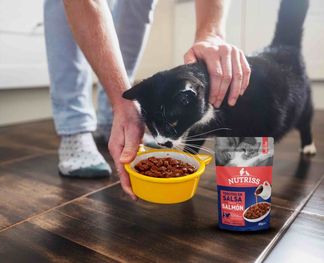 CMI fortalece su crecimiento en nutrición para mascotas a través de una alianza estratégica con Grupo Bios