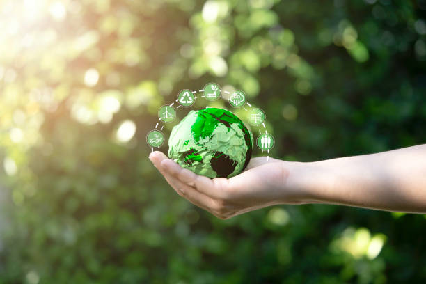 Aseguradora reportó reducción del 65% en la huella de carbono en 2025