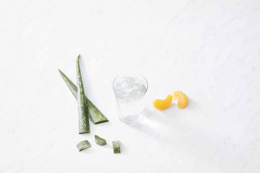Del cuidado tópico al consumo diario: el Aloe vera en bebidas funcionales