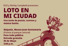 ECO convierte espacios culturales en experiencias multisensoriales itinerantes