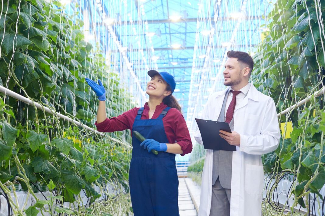 EY anuncia acuerdo para adquirir MB Agro y refuerza su liderazgo en inteligencia estratégica para el agronegocio en Latinoamérica