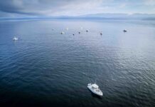 Battle of the Bay posiciona a Golfo Dulce como epicentro internacional de pesca deportiva responsable