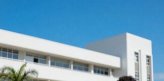 Graduados de universidades públicas y privadas del país acceden a las mismas oportunidades laborales, según nuevo informe