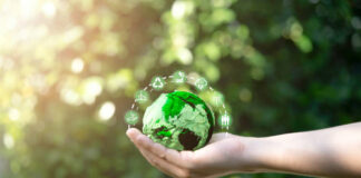 Mapfre neutraliza el 84% de su huella de carbono operativa en 16 proyectos globales de compensación