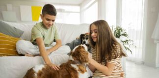 76 % de los hogares costarricenses convive con al menos un perro: pequeños hábitos de limpieza marcan una gran diferencia en su salud
