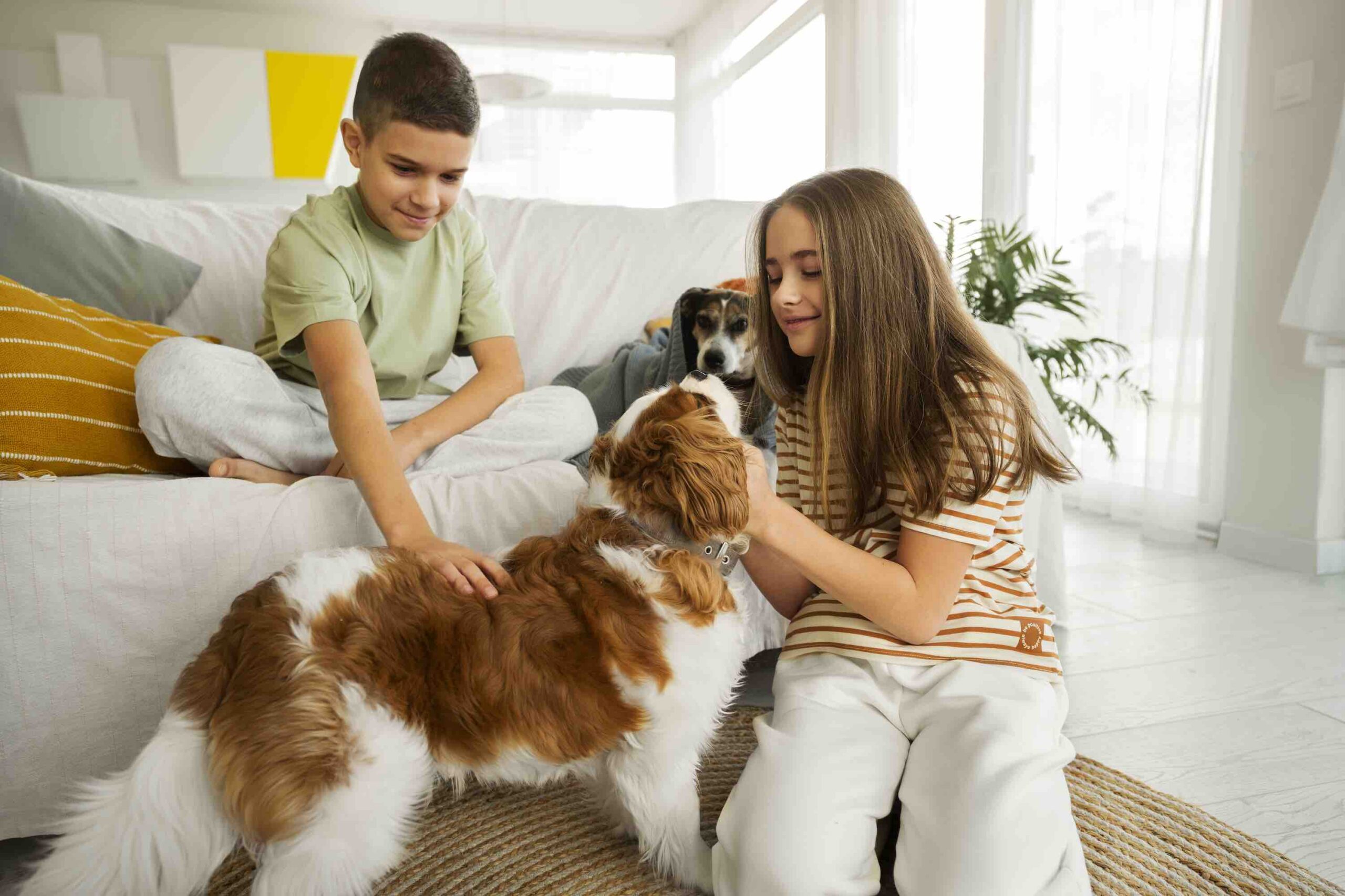 76 % de los hogares costarricenses convive con al menos un perro: pequeños hábitos de limpieza marcan una gran diferencia en su salud