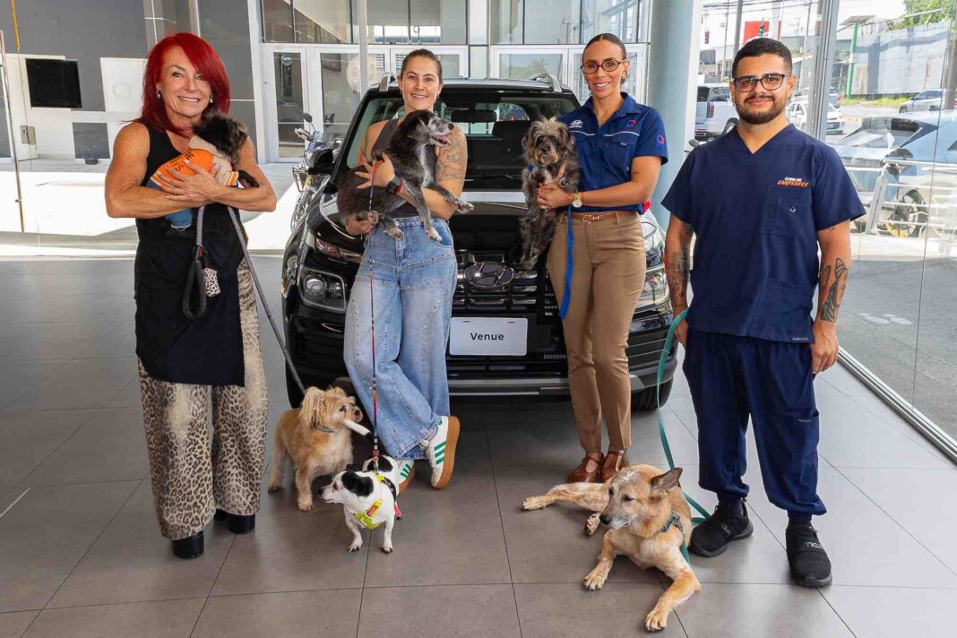 Hyundai llama a la afición a ponerse la camiseta por miles de perros de Territorio de Zaguates y Cuna de Campeones