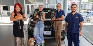 Hyundai llama a la afición a ponerse la camiseta por miles de perros de Territorio de Zaguates y Cuna de Campeones