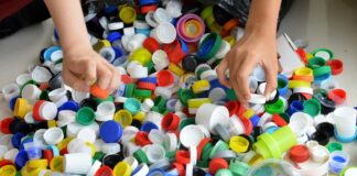Kimberly-Clark avanza en sus metas de sostenibilidad al 2030