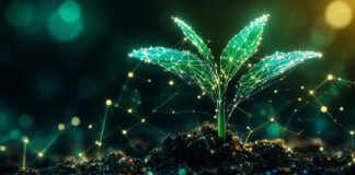 La inteligencia artificial redefine el crecimiento de las aseguradoras al priorizar la retención de clientes