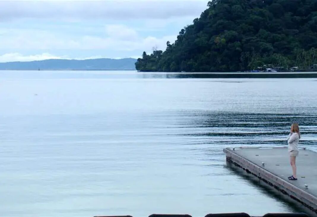 Planeta Azul regresa a Teletica con documental sobre ballenas jorobadas en Costa Rica
